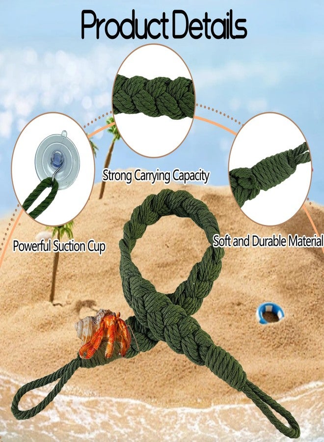 kathson 3pcs Hermit Crab Climbing Toys, Hermit Crab Climbing Rope Ladder with 10 Hook Suction Cup Reptile Tank Terrarium Accessories for Lizards Snakes Geckos (Green) - Image 5